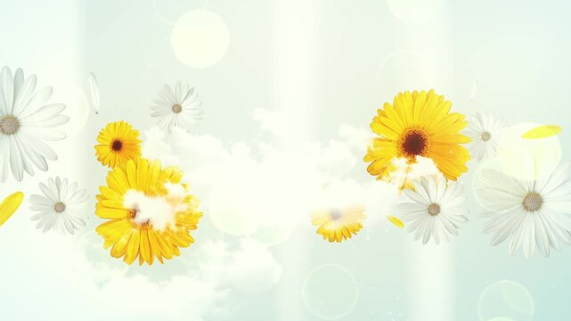 4K Colorful Flowers Animated Background with Copy Space | Vibrant Floral Motion Graphics 4K | Blooming Flowers Animation with Text Space | Colorful Botanical Animated Backdrop for Titles | Elegant