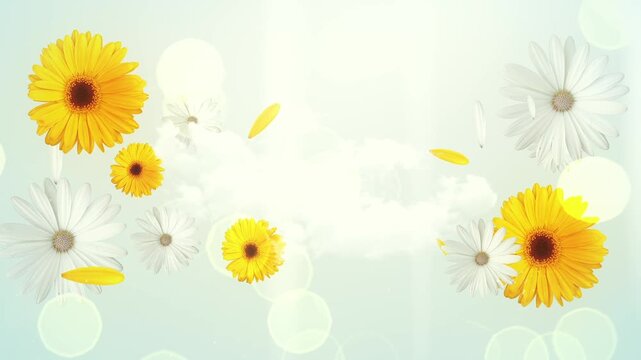 4K Colorful Flowers Animated Background with Copy Space | Vibrant Floral Motion Graphics 4K | Blooming Flowers Animation with Text Space | Colorful Botanical Animated Backdrop for Titles | Elegant