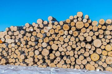 Stacked logs of freshly cut timber arranged neatly against a clear blue sky, showcasing the natural wood grain and circular cross-sections of the logs
