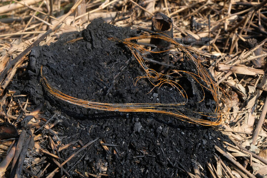 Close up of rusty wire left over from burning tires. For graphic design, 3D rendering and banners