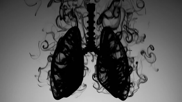 Dense black smoke fills lungs as tar spreads. Addiction causes irreversible damage. Lungs darkened by disease. Cancer risk rises. Death from smoke and toxins. Black lungs from lifelong addiction