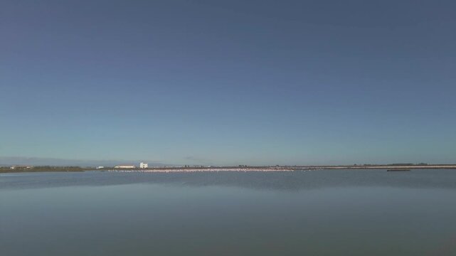 Landscape in the Ebro Delta National Park in Amposta, Spain