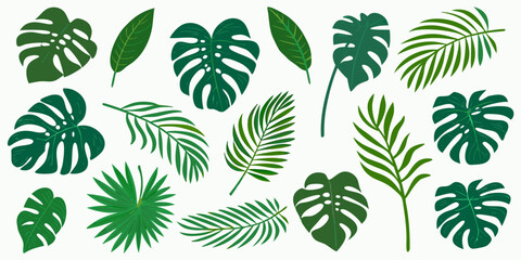 A collection of various vibrant green tropical leaves on a white background © RanjanKumar