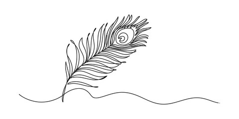 Minimalist continuous line drawing of a beautiful peacock feather illustration Vector, illustration © Bobita