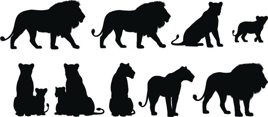Lion family silhouette vector set, black animal shapes, lion, lioness, cub poses, wildlife illustration, safari theme, animal behavior study © Itz Babu