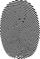 Fingerprint pattern with detailed ridges isolated on transparent background