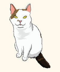 White Cat with Brown Patches and Yellow Eyes Illustration