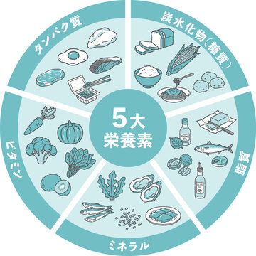 五大栄養素の食材円グラフ（炭水化物・脂質・タンパク質・ビタミン・ミネラル）
