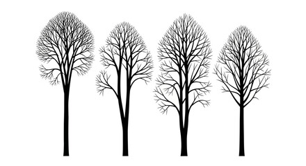 Fototapeta premium Bare Trees Silhouettes in Winter Season