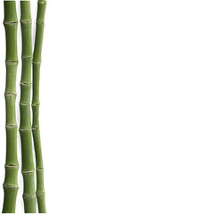 Fototapeta premium Bamboo Asian frame background isolated on white or transparent transparent background isolated png stock