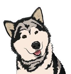 Siberian Husky Dog Portrait with Brown Eyes and Happy Smile Illustration
