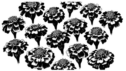 Striking black and white graphic pattern featuring multiple detailed hand-drawn marigold flower illustrations arranged organically.