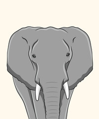 African Elephant Front View Portrait with Tusks Gray Wildlife Illustration