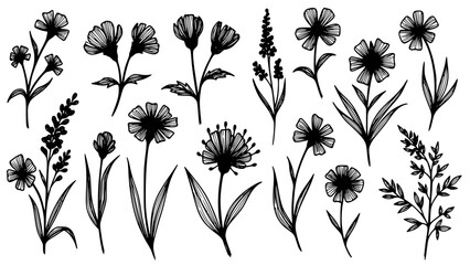 A collection of detailed black and white hand-drawn floral line art illustrations featuring various unique wildflower and botanical elements.
