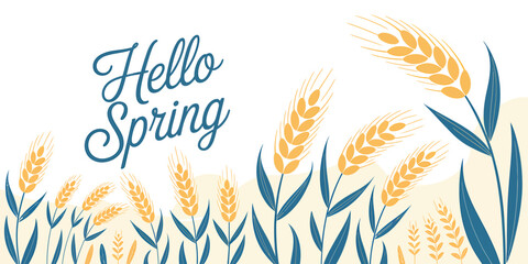Hello Spring wheat and leaves illustration with greeting text