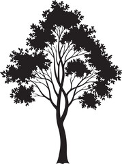 Obraz premium Silhouetted tree with dense foliage against a plain white background