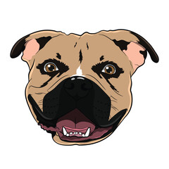 Pit Bull Terrier Dog Head with Happy Smile Illustration