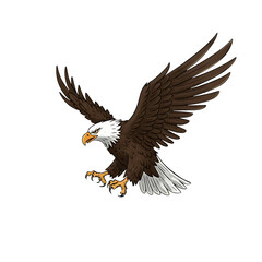 Obraz premium Majestic Bald Eagle Flying Soaring in Sky, Symbol of Freedom, Power, and American Pride