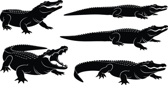 Detailed collection of black crocodile and alligator silhouettes in various swamp predator poses for wildlife and nature design