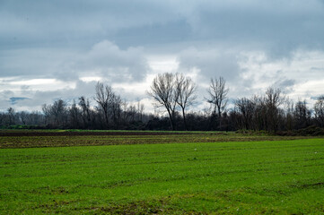 green field and clouds in winter