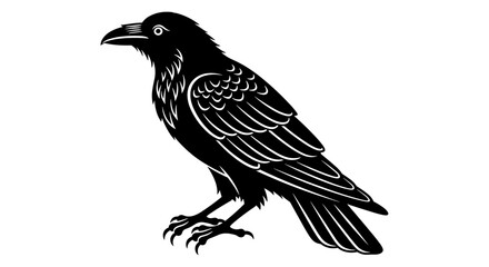 Fototapeta premium Black Crow Bird Illustration.
