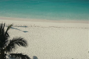 Serene Beachscape with Calm Waters and Lush Palm Trees
