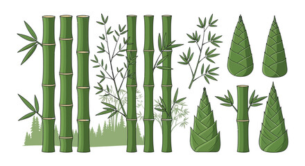 A collection of green bamboo stalks and leaves in a graphic illustration © Begum