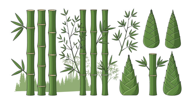 A collection of green bamboo stalks and leaves in a graphic illustration