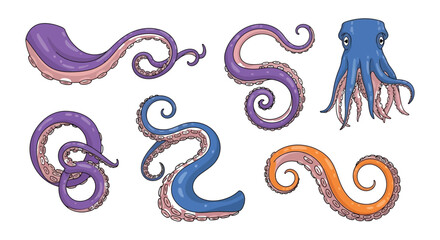 Colorful octopus tentacles and a partial octopus illustration on a white background © Begum