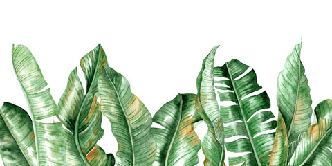 Banana leaves in a vertical arrangement © ARTBRUSH