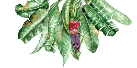 Blossom of the palm tree © ARTBRUSH