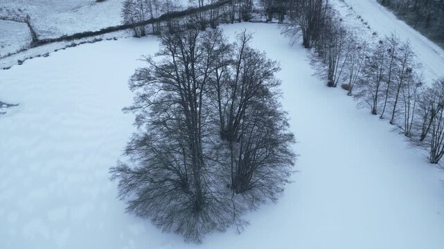 Drone shot from 30-40 meters height showing a solitary tree standing on a completely frozen and snow-covered lake. The surrounding landscape features snow-blanketed fields and dark winter forest. 