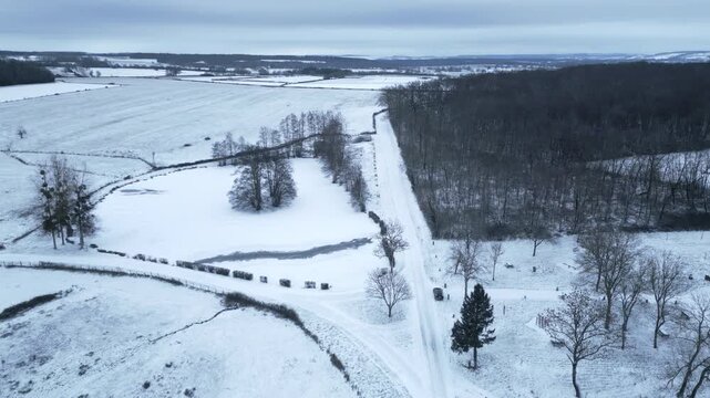Drone shot from 30-40 meters height showing a solitary tree standing on a completely frozen and snow-covered lake. The surrounding landscape features snow-blanketed fields and dark winter forest. 