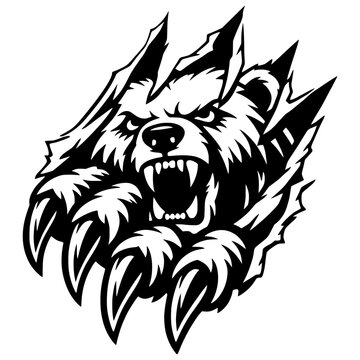 Powerful Grizzly Bear Head Ripping Through Surface with Sharp Claw Scratch Marks Vector Illustration - Aggressive Wildlife Mascot Graphic for Sports Logos