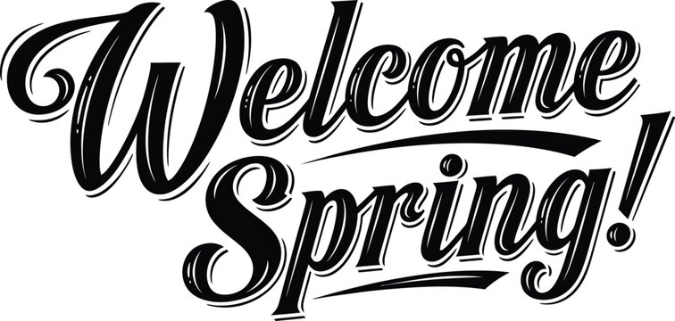 Black and white vintage calligraphy script proclaiming welcome spring with bold dramatic lettering isolated on white background