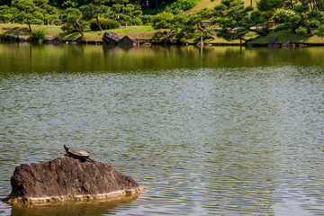 japanese garden in japan