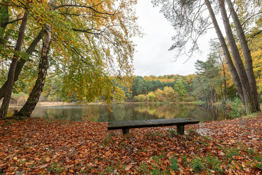 Gr&uuml;nwiesenweiher bei Neu-Anspach im Taunus im Hochtaunuskreis in Hessen an einem herbstlichen Tag 

