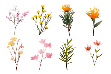 Set of minimalistic floral compositions isolated on white background