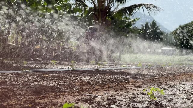 Pressurized water exits an irrigation line and falls across garden beds, with trees and open field visible in the background. Water distribution.