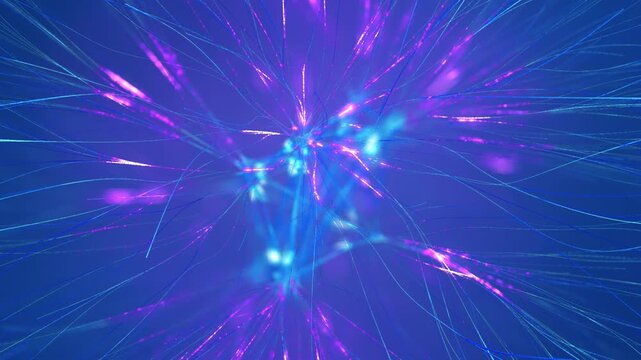 Neural Activity Across Machine Learning Models