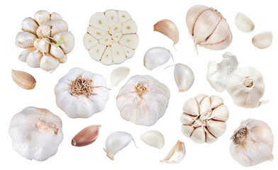 Garlic set, isolated on transparent background	
