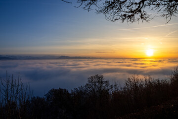 Winterlicher Sonnenuntergang knapp &uuml;ber dem Nebelmeer im Wald mit Blick auf die Alpen in der Schweiz
