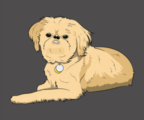 Shih Tzu Dog Illustration Fluffy Cream Puppy Lying Down Cartoon Pet