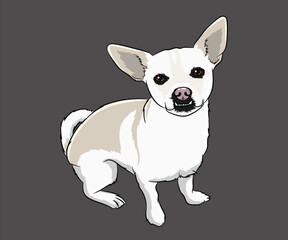 Jack Russell Terrier Illustration White Dog Smiling Cartoon Pet Character
