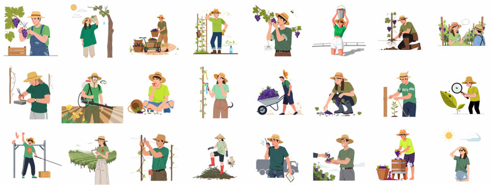 Vineyard workers and viticulture concepts vector illustration set covering grape harvesting, pruning, planting, and wine preparation processes.