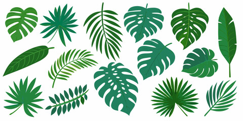 Collection of vibrant green tropical leaves in various shapes and sizes © Ramanath