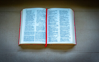 Obraz premium bíblia sagrada