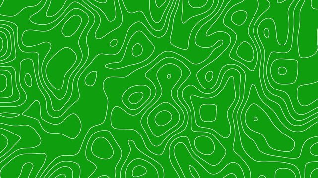 Flowing Contour Lines Animation Loop 4K Motion Graphic Video