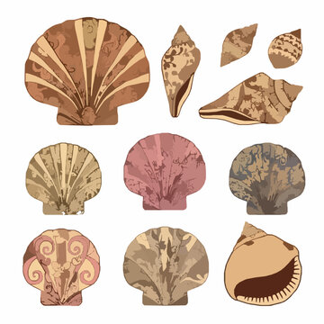 Decorative Scallop Seashell Collection Vector Art