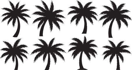 Minimalist black and white palm tree silhouettes collection